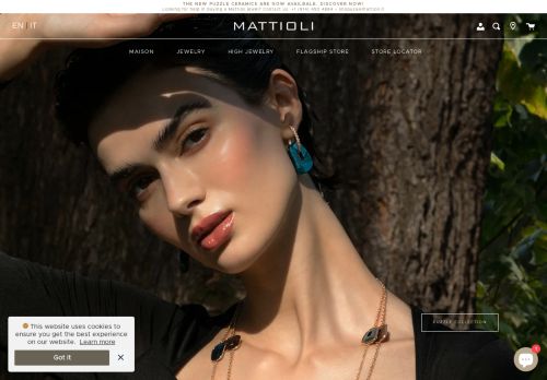 Mattioli capture - 2024-03-14 01:46:48