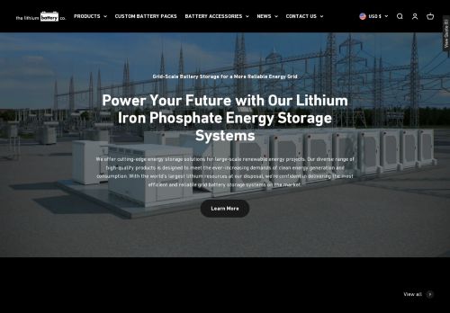 Lithium Battery Company capture - 2024-03-15 00:35:47