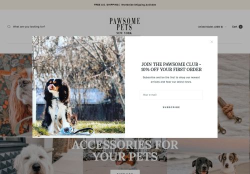 Pawsome Pets New York capture - 2024-03-15 10:22:05