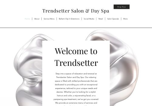Trendsetter Salon & Day Spa capture - 2024-03-18 23:02:40