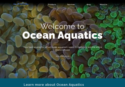 Ocean Aquatics capture - 2024-03-26 10:07:14