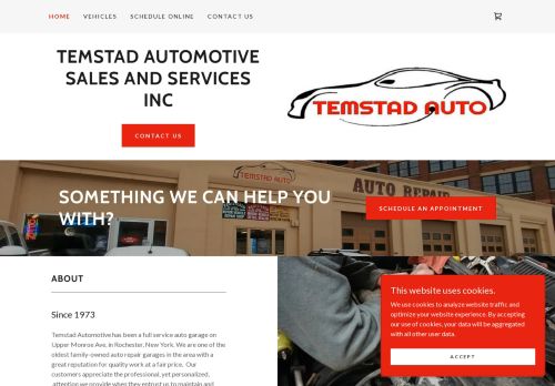 Temstad Automotive Services capture - 2024-03-26 22:00:27
