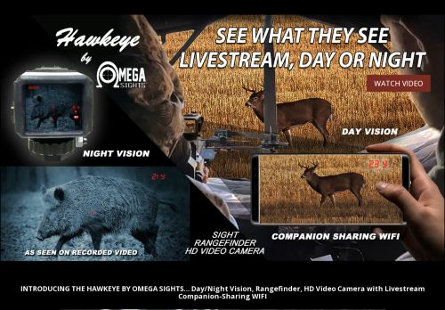 Omega Sights capture - 2024-03-27 22:54:02