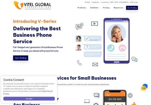 Vitel Global capture - 2024-03-28 02:00:14