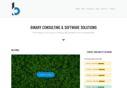 Binary Consulting & Software Solutions capture - 2024-03-28 07:21:37