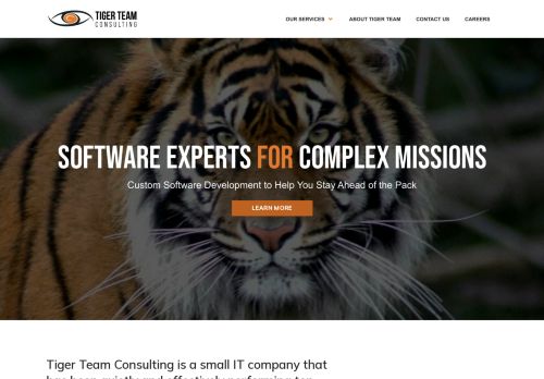 Tiger Team Consulting capture - 2024-03-28 10:42:14