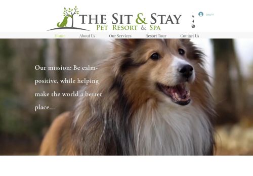The Sit & Stay capture - 2024-03-28 15:25:40