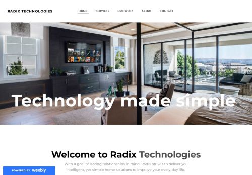 Radix Technologies capture - 2024-03-29 21:20:33