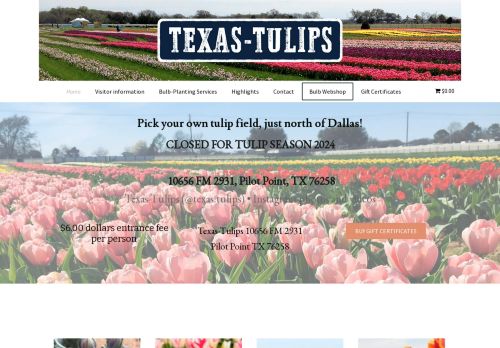 Texas-Tulips capture - 2024-03-30 10:51:35