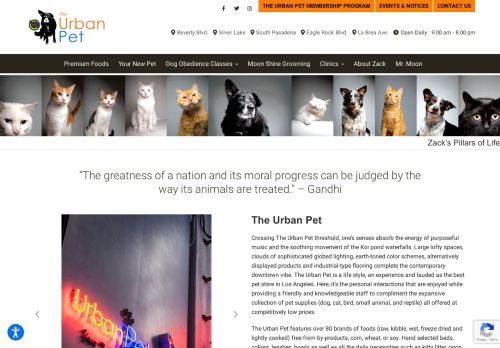 The Urban Pet capture - 2024-03-30 17:04:40