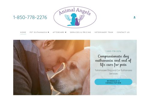 Animal Angels capture - 2024-04-01 01:12:49