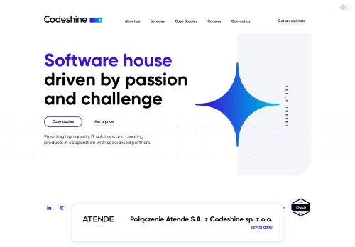 Codeshine capture - 2024-04-02 21:31:14