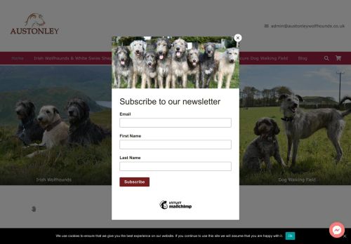 Austonley Irish Wolfhounds capture - 2024-04-02 23:03:05