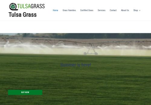 Tulsa Grass capture - 2024-04-03 05:28:53