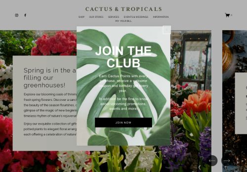Cactus & Tropicals capture - 2024-04-03 17:47:14