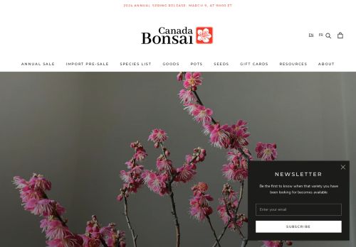 Canada Bonsai capture - 2024-04-03 18:34:39