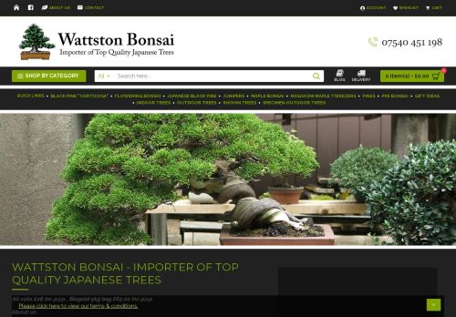 Wattston Bonsai capture - 2024-04-03 23:39:29