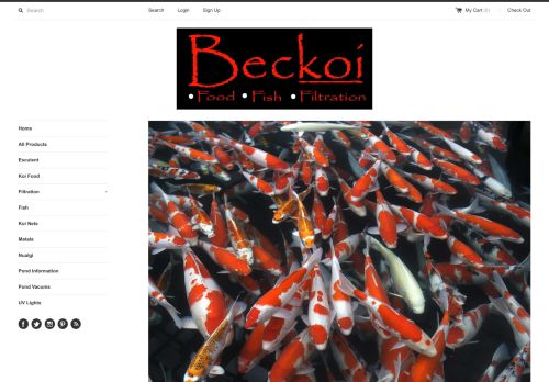 Beckoi capture - 2024-04-04 03:07:08