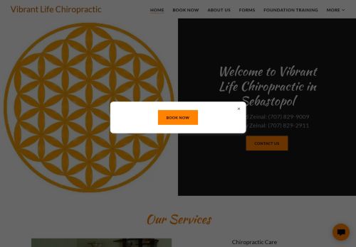 Vibrant Life Chiropractic capture - 2024-04-04 05:58:44