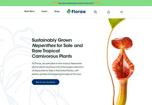 Florae capture - 2024-04-05 09:34:32