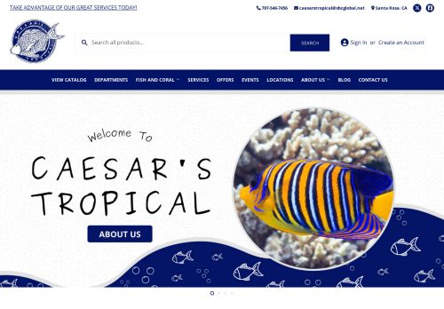 Caesar's Tropical Fish capture - 2024-04-06 02:05:46