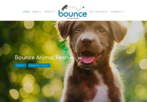 Bounce Animal Rescue capture - 2024-04-06 07:10:35