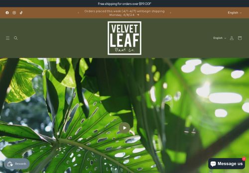 Velvet Leaf Plant Co. capture - 2024-04-06 21:47:56