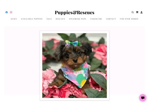 Puppies & Rescues capture - 2024-04-09 06:47:15