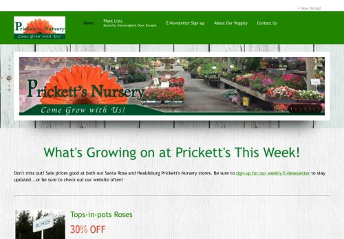 Prickett's Nursery capture - 2024-04-09 11:14:05