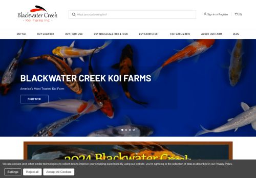 Blackwater Creek Koi Farms capture - 2024-04-10 09:26:32