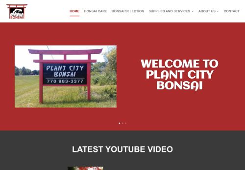 Plant City Bonsai capture - 2024-04-10 09:59:23