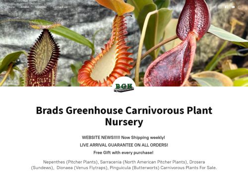 Brads Greenhouse Carnivorous capture - 2024-04-10 19:01:25