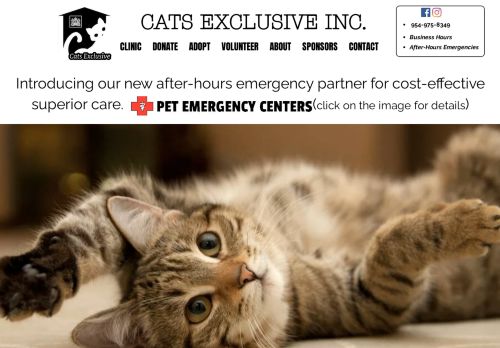 Cats Exclusive Inc capture - 2024-04-11 05:14:47