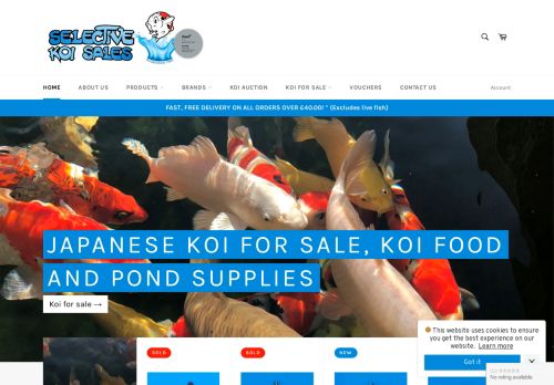 Selective Koi Sales capture - 2024-04-11 13:12:02