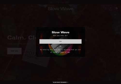 Slow Wave capture - 2024-04-11 19:09:03