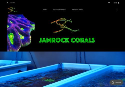 Jamrock Corals capture - 2024-04-12 00:59:09