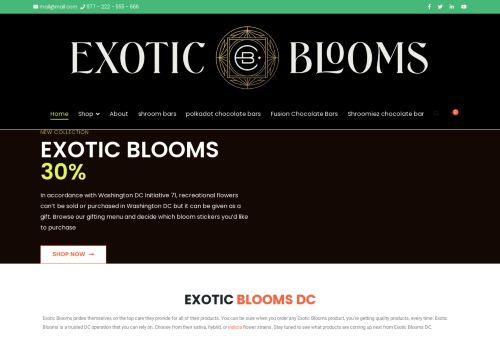 Exotic Blooms capture - 2024-04-12 02:41:33