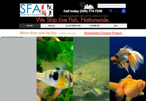Smart Fish Aquarium capture - 2024-04-12 04:56:29