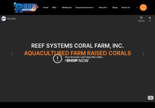 Reef Systems capture - 2024-04-12 11:13:35