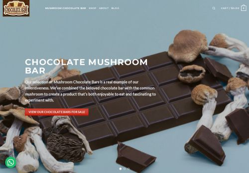 Mushroom Chocolate Bar capture - 2024-04-12 19:30:58