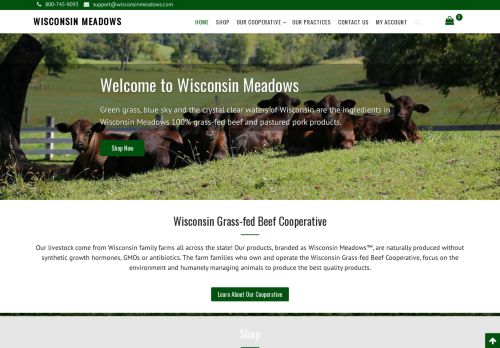 Wisconsin Meadows capture - 2024-04-13 01:56:31