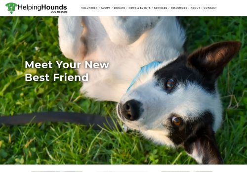 Helping Hounds Dog Rescue capture - 2024-04-14 16:36:58