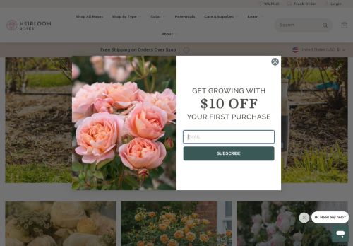 Heirloom Roses capture - 2024-04-16 00:25:03