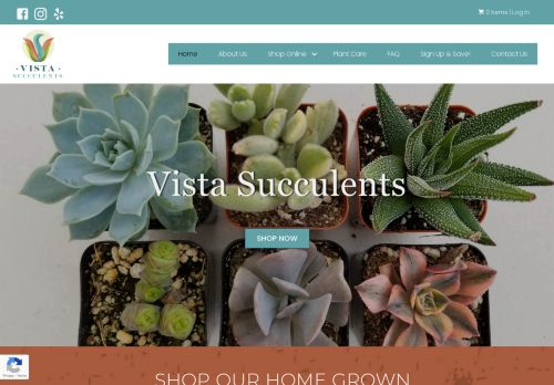 Vista Succulents capture - 2024-04-18 07:41:15