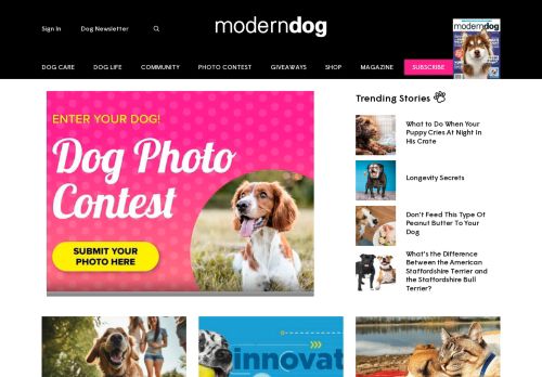 Modern Dog Magazine capture - 2024-04-25 06:34:44