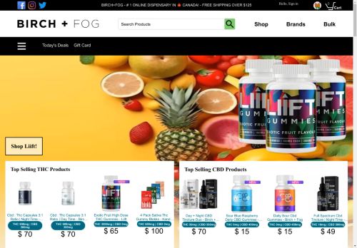 Birch and Fog capture - 2024-04-27 05:35:33