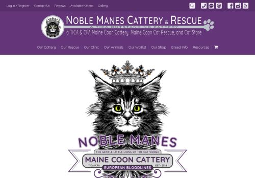 Noble Manes Cattery capture - 2024-04-27 13:26:43