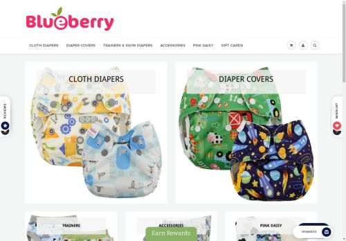 Blueberry Diapers capture - 2024-05-23 02:01:13