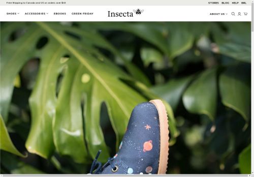 Insecta Shoes capture - 2024-05-24 01:11:15