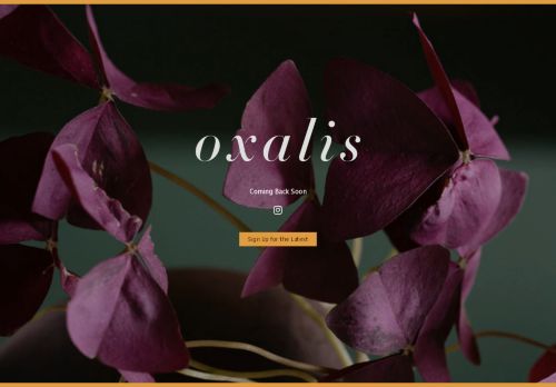 Oxalis capture - 2024-06-11 15:34:08